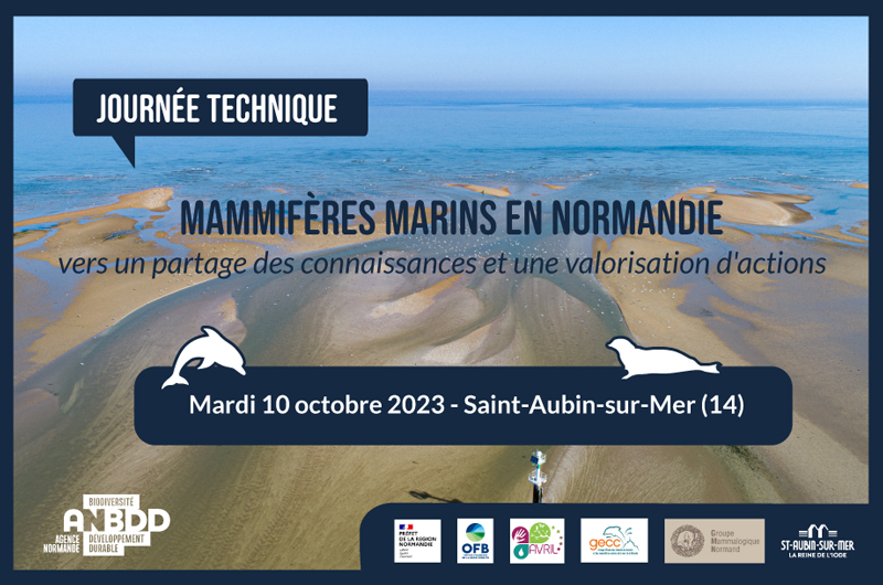 ANBDD JT Mammiferes marins 10oct23 800px