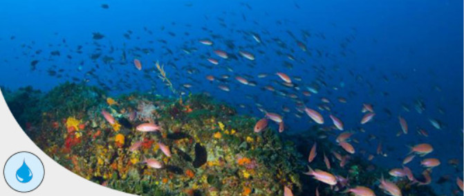 futur du littoral 2021 bis